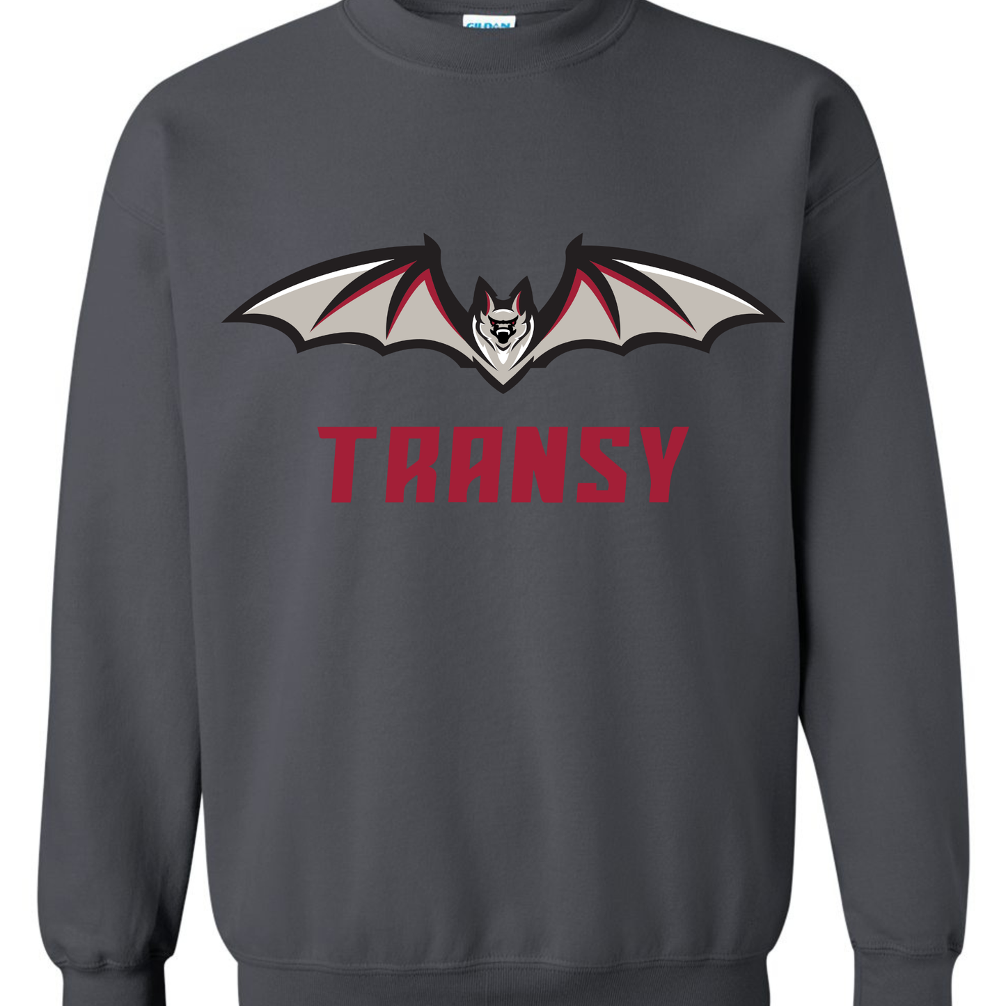 Transylvania University Spirit Long Sleeve T-shirts