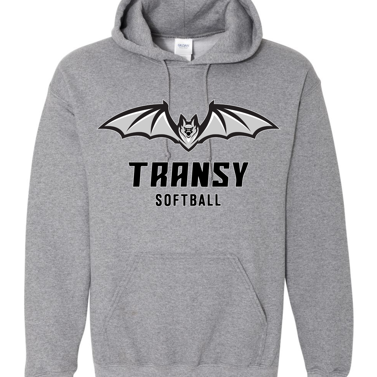 Transylvania University Spirit Hoodie