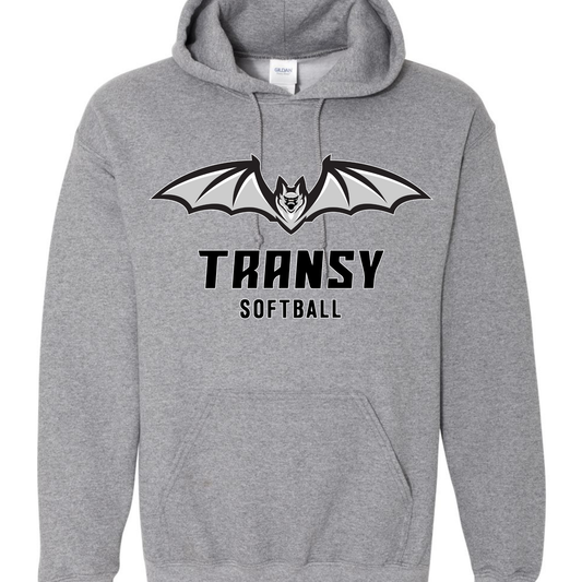 Transylvania University Spirit Hoodie