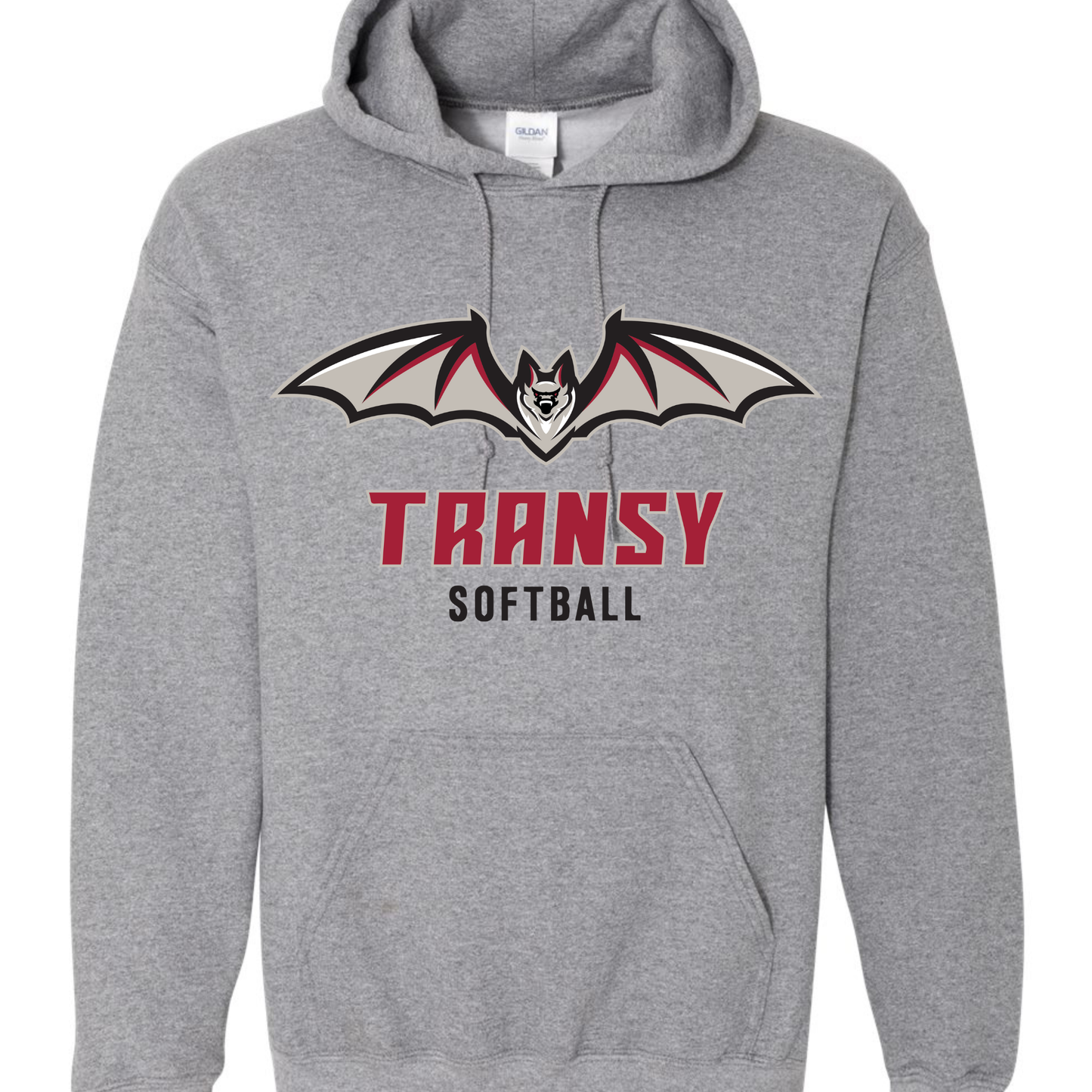 Transylvania University Spirit Hoodie